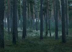 15 gadus vecās Olgas dzīvi aprāva klasesbiedru pastrādātā slepkavība – viens no nežēlīgākajiem noziegumiem Latvijā