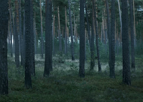 15 gadus vecās Olgas dzīvi aprāva klasesbiedru pastrādātā slepkavība.