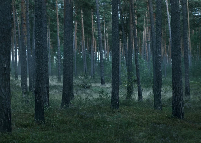 15 gadus vecās Olgas dzīvi aprāva klasesbiedru pastrādātā slepkavība – viens no nežēlīgākajiem noziegumiem Latvijā