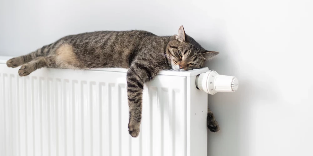 Жителям Риги могут временно отменить штрафы за просрочку счетов за отопление.