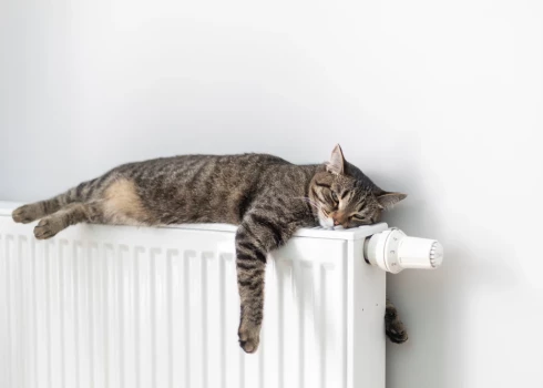 Жителям Риги могут временно отменить штрафы за просрочку счетов за отопление.