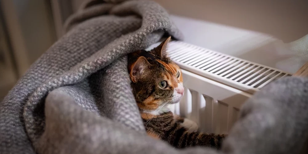 Rīgā aicina komunālo pakalpojumu sniedzējus rīkoties sociāli atbildīgi.