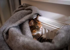 Rīgas izpilddirektors aicina apturēt nokavējuma procentus par komunālajiem maksājumiem līdz 30. jūnijam