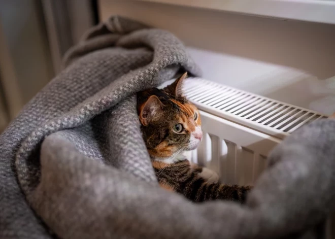 Rīgas izpilddirektors aicina apturēt nokavējuma procentus par komunālajiem maksājumiem līdz 30. jūnijam