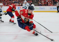 Vilmanis gūst vārtus "Panthers" zaudējumā "Mammoth" hokejistiem