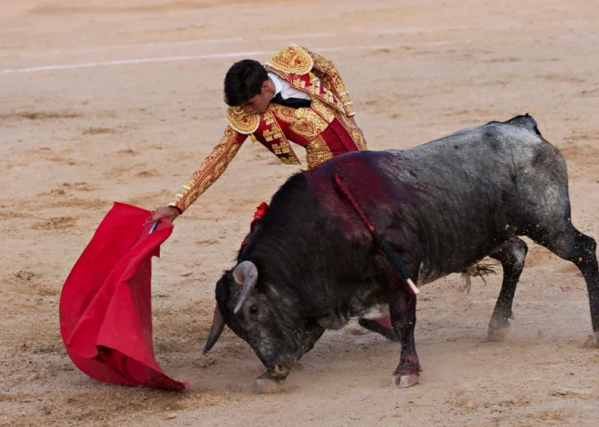 Gladiatoru cīņas un citas cilvēces vēsturē nežēlīgākās "izpriecas"