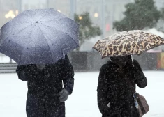 Latvijas iedzīvotāji krāpniekiem "uzdāvinājuši" 23 miljonus: atdod ne tikai pēdējo naudu, bet pat nekustamos īpašumus