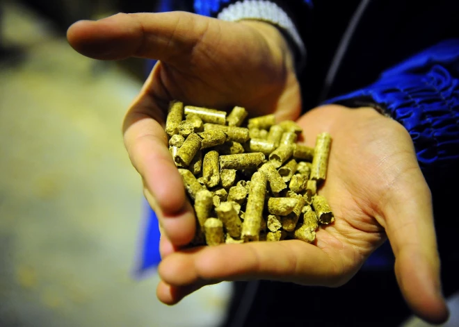 PTAC предупредил жителей Латвии: из-за холодов в стране завелся особый вид жуликов. Как не потерять деньги?