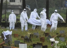 ВОЗ предупреждает: один из самых смертельных вирусов снова распространяется