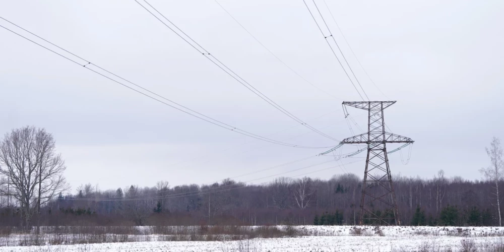 Иллюстративное фото.