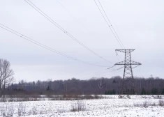 Страны Балтии и Польша получат более 112 млн евро на защиту электросетей