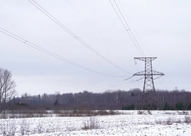 Страны Балтии и Польша получат более 112 млн евро на защиту электросетей