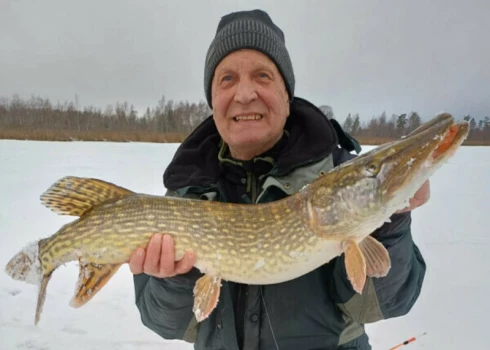 Dāvids Ķiģelis šo līdaku izmānīja no āliņģa ar mazo bļitkiņu.