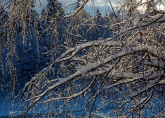Izplata dzelteno brīdinājumu par stipru salu: tuvākajās naktīs gaiss atdzisīs līdz -29 grādiem
