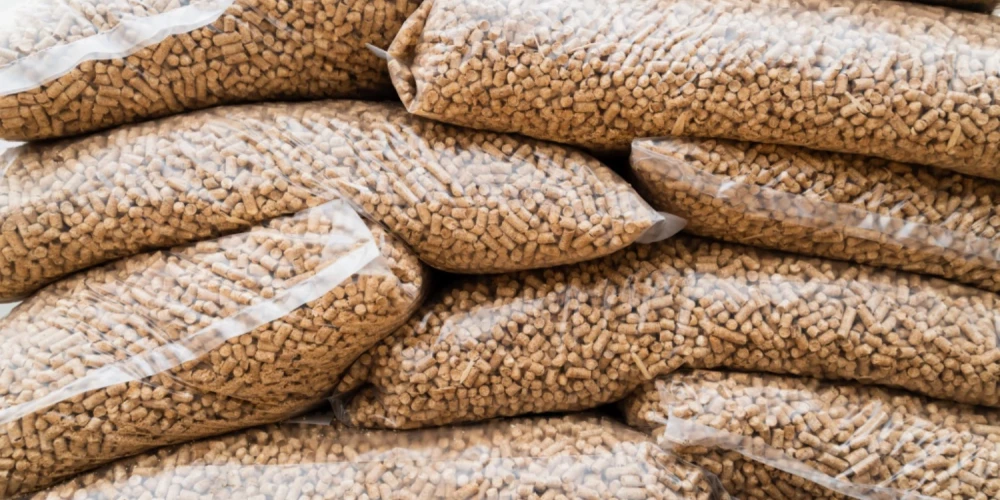 Aukstumam pieņemoties spēkā, cilvēki riskē palikt bez apkures. 