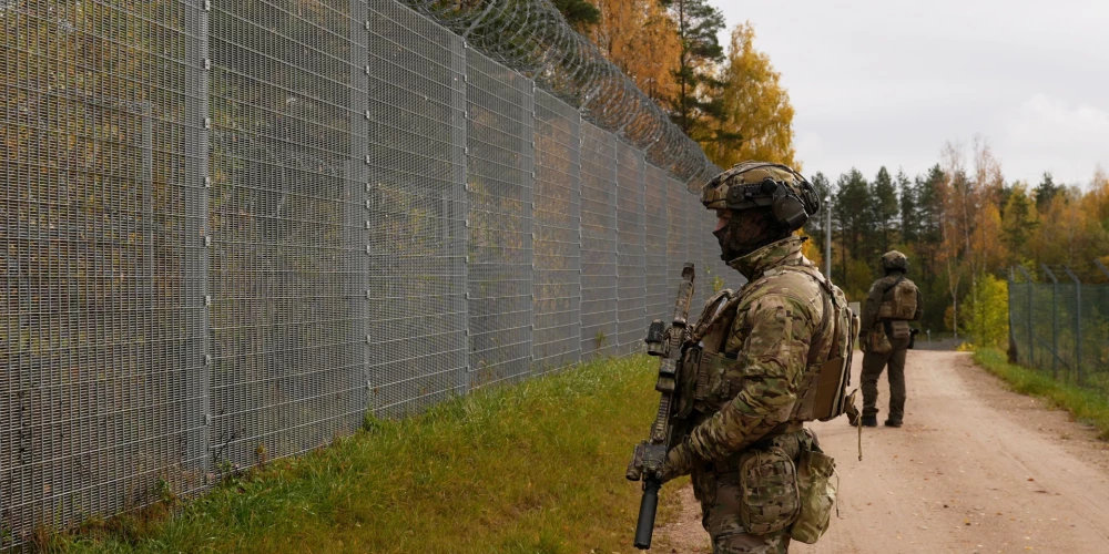 В Литве вдвое выросло число задержанных нелегальных мигрантов, приехавших из Латвии.