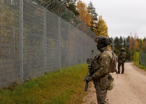 В Литве вдвое выросло число задержанных нелегальных мигрантов, приехавших из Латвии.