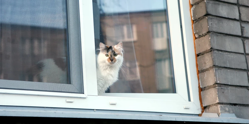 Ilustratīvs attēls.