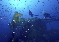 Šī indīgā zivs varētu kļūt par delikatesi Grieķijā