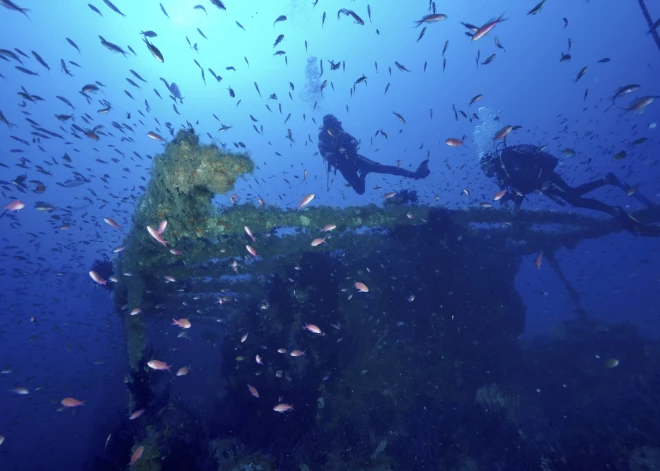 Šī indīgā zivs varētu kļūt par delikatesi Grieķijā