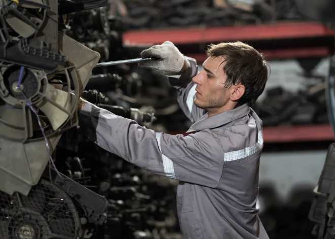 Молодежь мечтает о творчестве, бизнес ищет рабочих рук. Почему латвийский рынок труда не сходится?