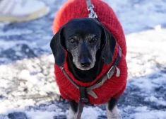 Gada aukstākais rīts Latvijā: temperatūra dažviet pazeminājusies līdz -26 grādiem