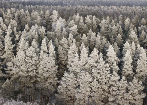 Engures ezera dabas parks.