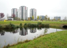 Рижане неожиданно стали массово переселяться в один столичный район