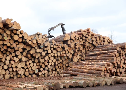 Valdības atbalstu saņēmušo kokrūpnieku finanšu stāvoklis nebija nestabils, par to lemts bez kvalitatīvas analīzes. 