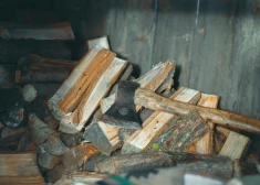 Aukstajā laikā Latvijā sarosījušies krāpnieki, kas piedāvā iedzīvotājiem viltus kurināmo