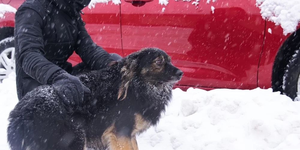 Izvēloties preventīvos pasākumus un zinot, kā rīkoties ārkārtas situācijās, tu vari efektīvi pasargāt sevi un savus tuviniekus no nosalšanas sekām.