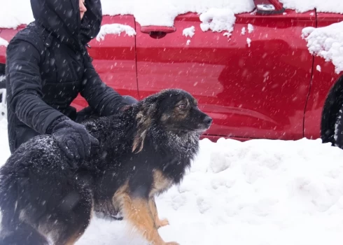 Izvēloties preventīvos pasākumus un zinot, kā rīkoties ārkārtas situācijās, tu vari efektīvi pasargāt sevi un savus tuviniekus no nosalšanas sekām.