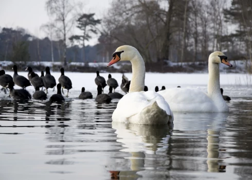 Иллюстративное фото.