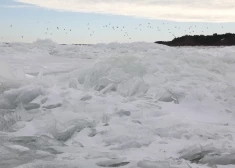 В Латвии над морем будут летать орнитологи. Жителей страны просят не волноваться