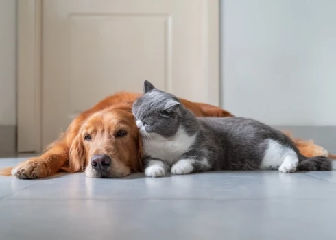 Иллюстративное фото.