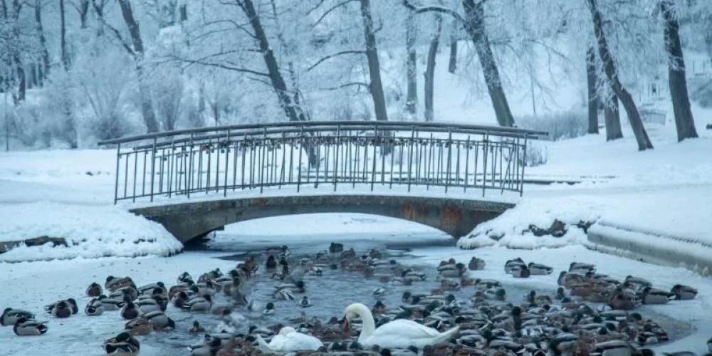 Latviju skāris stiprākais sals kopš 2012. gada.