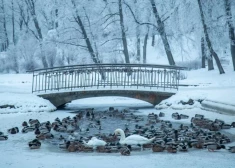 Latviju šorīt skāris stiprākais sals 14 gados: sinoptiķi brīdina par vēl lielāku aukstumu  -  var krist rekordi