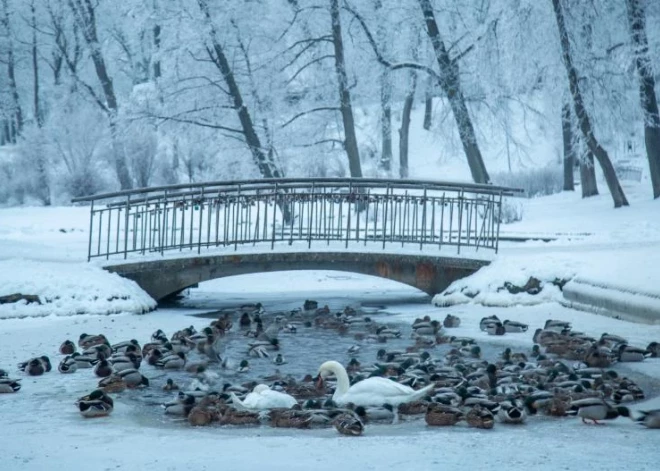 Latviju šorīt skāris stiprākais sals 14 gados: sinoptiķi brīdina par vēl lielāku aukstumu  -  var krist rekordi