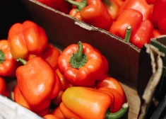 PVD brīdina: vairākiem sūtījumiem no trešajām valstīm konstatēti pārtikas nekaitīguma pārkāpumi