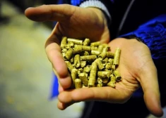 С усилением холодов многие люди в Латвии рискуют остаться без отопления