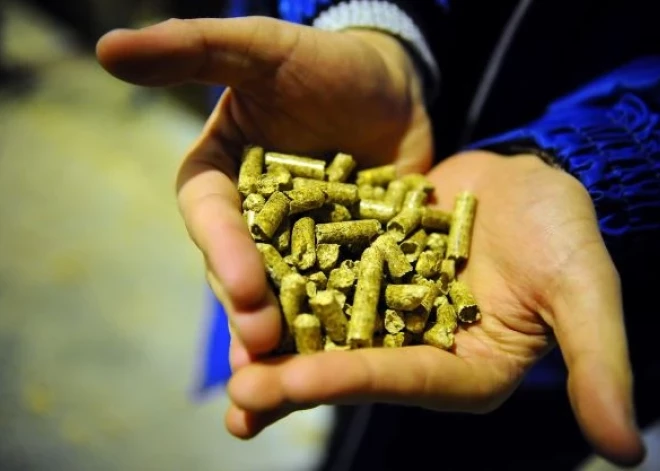 С усилением холодов многие люди в Латвии рискуют остаться без отопления