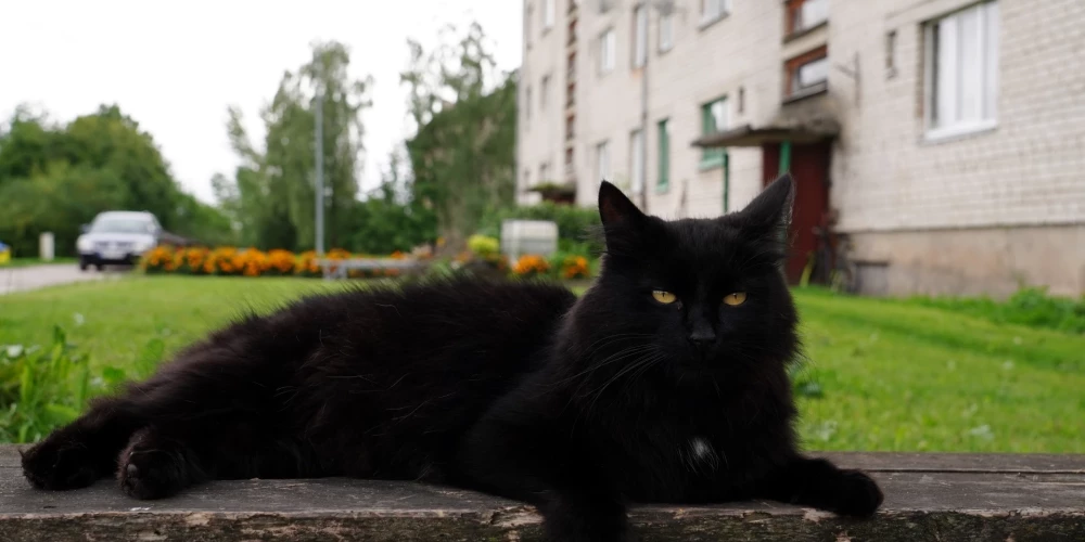 Иллюстративное фото.