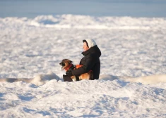 Неужели дождались? Синоптики пообещали потепление во второй половине недели