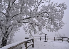 Stindzinošs rīts! Vairākās Latvijas vietās krituši aukstuma rekordi