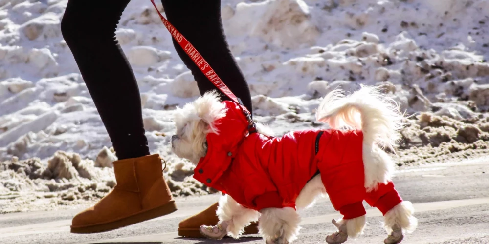 Pirmdien Latvijā būs pārsvarā saulains laiks.