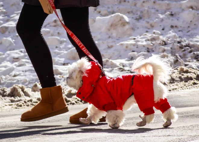 Ziemeļu vējš atnesīs nedaudz siltāku gaisu – pēcpusdienā temperatūra paaugstināsies
