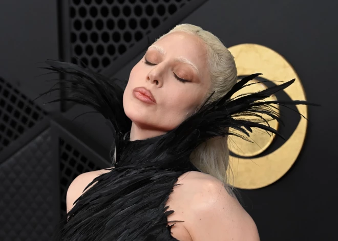 Zvaigznes žilbina "Grammy".