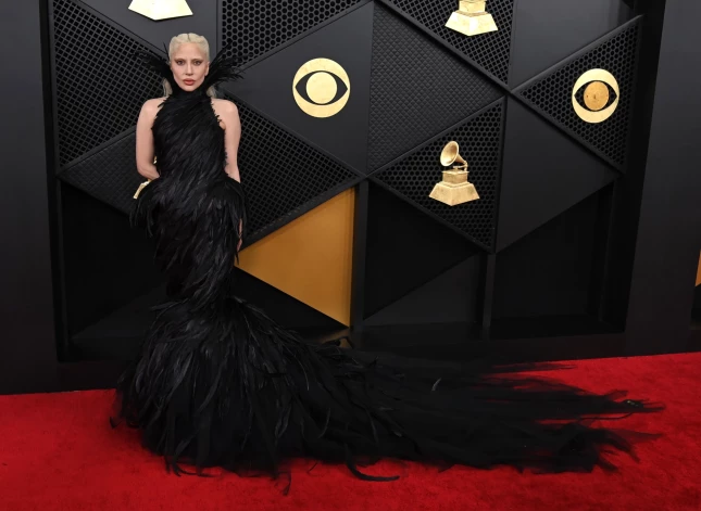 Леди Гага в "пернатом" платье.