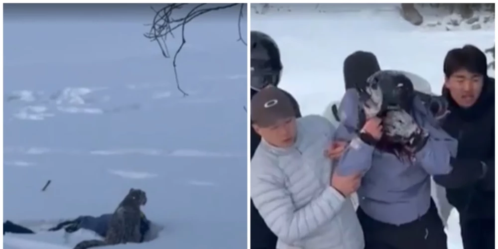 Ķīnā noticis drausmīgs incidents.