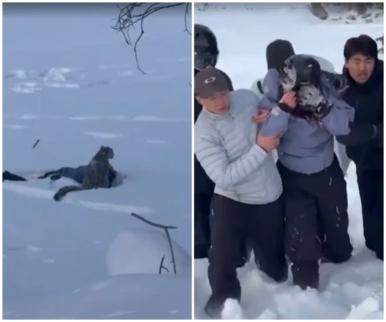 Ķīnā noticis drausmīgs incidents.